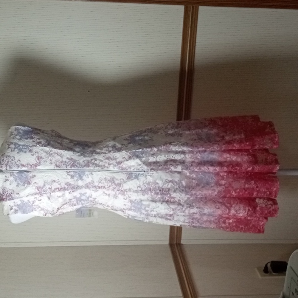 Danny & Nicole Sleeveless Lace Midi Dress in Pink and White Ombre, Easter, Summe - Picture 5 of 6